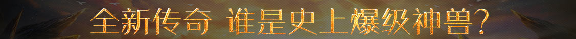 泰瑞和網
